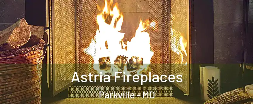  Astria Fireplaces Parkville - MD