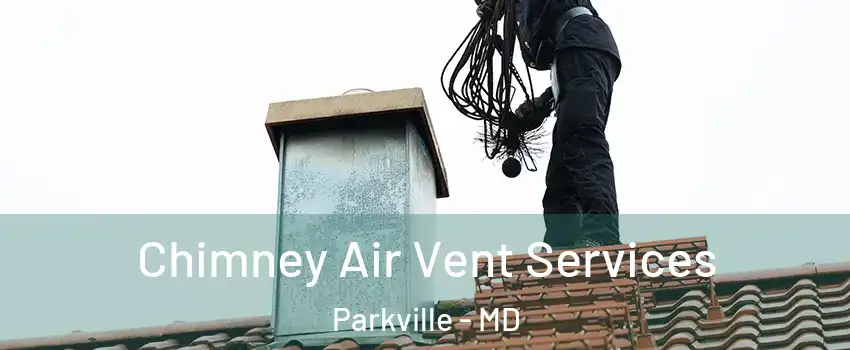  Chimney Air Vent Services Parkville - MD