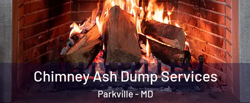  Chimney Ash Dump Services Parkville - MD