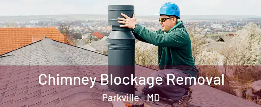  Chimney Blockage Removal Parkville - MD