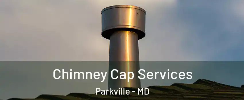  Chimney Cap Services Parkville - MD