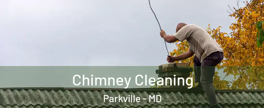 Chimney Cleaning Parkville - MD