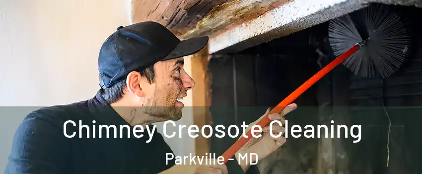  Chimney Creosote Cleaning Parkville - MD