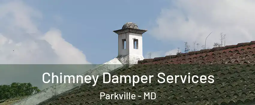  Chimney Damper Services Parkville - MD