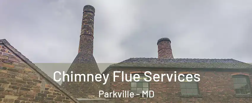  Chimney Flue Services Parkville - MD