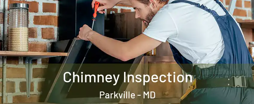  Chimney Inspection Parkville - MD