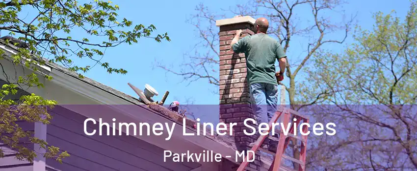  Chimney Liner Services Parkville - MD
