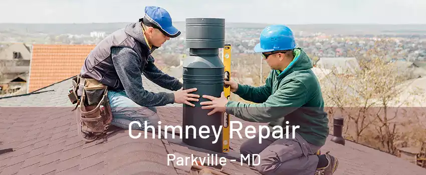  Chimney Repair Parkville - MD