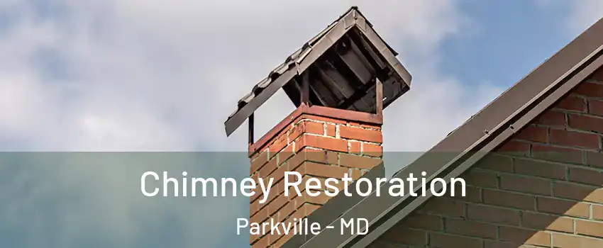  Chimney Restoration Parkville - MD