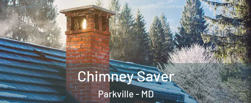  Chimney Saver Parkville - MD