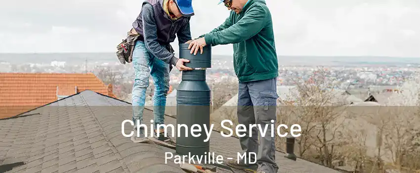  Chimney Service Parkville - MD