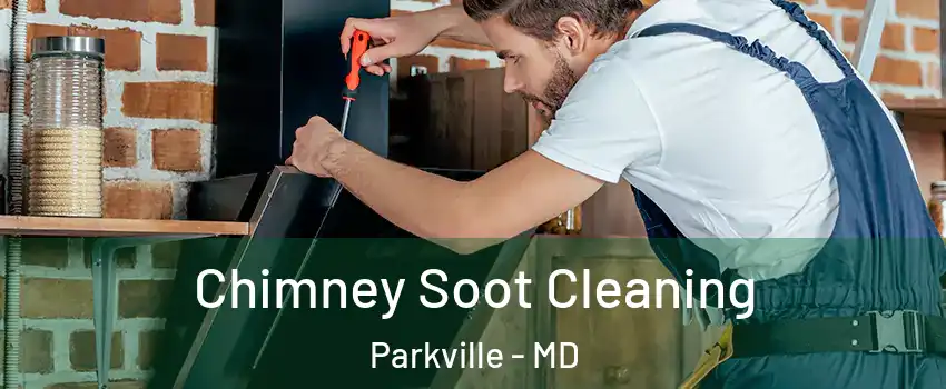  Chimney Soot Cleaning Parkville - MD