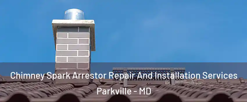  Chimney Spark Arrestor Repair And Installation Services Parkville - MD