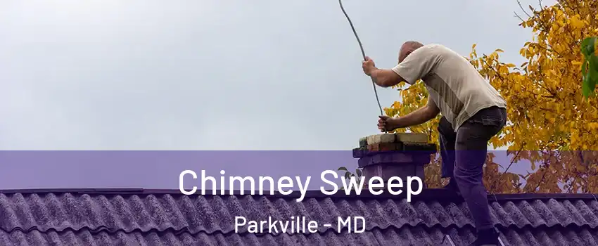  Chimney Sweep Parkville - MD