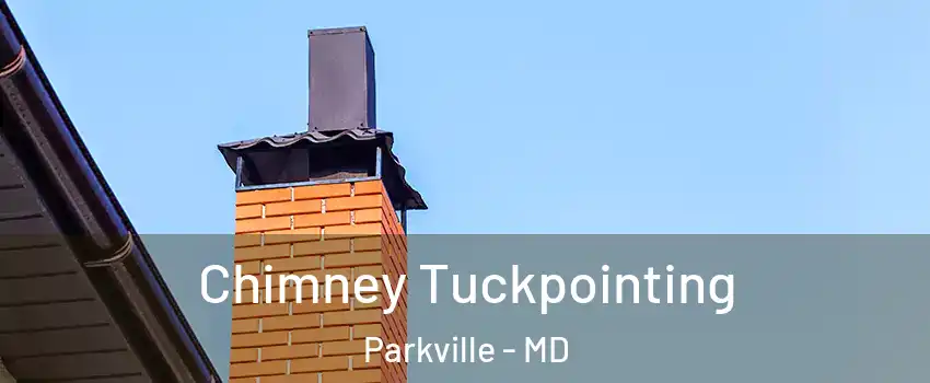  Chimney Tuckpointing Parkville - MD