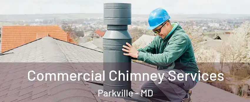  Commercial Chimney Services Parkville - MD
