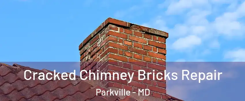  Cracked Chimney Bricks Repair Parkville - MD