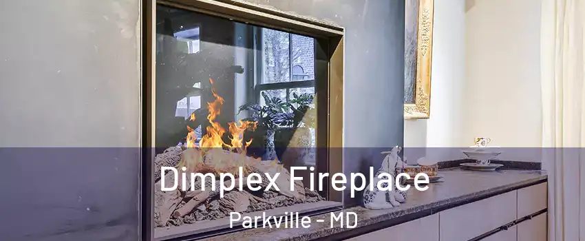  Dimplex Fireplace Parkville - MD