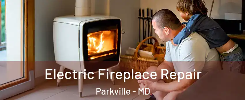  Electric Fireplace Repair Parkville - MD