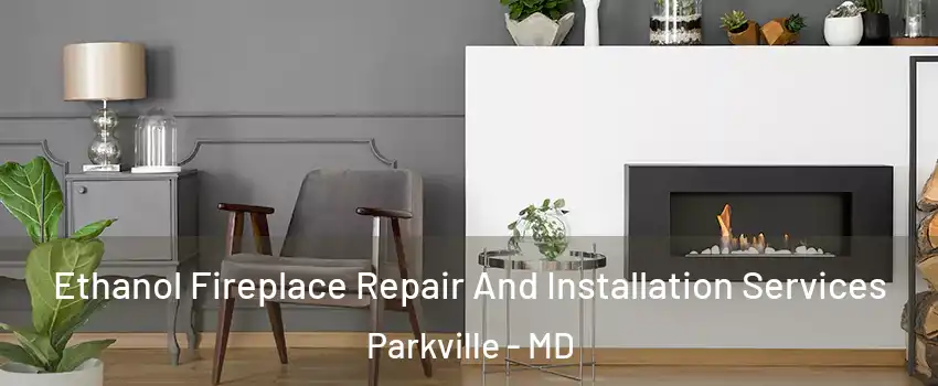  Ethanol Fireplace Repair And Installation Services Parkville - MD