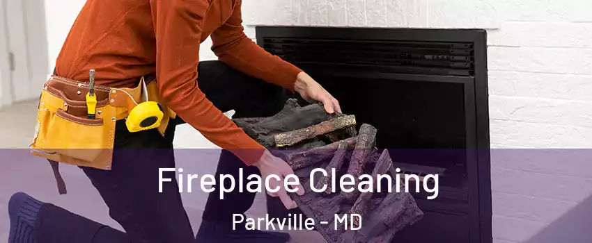  Fireplace Cleaning Parkville - MD