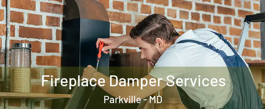  Fireplace Damper Services Parkville - MD
