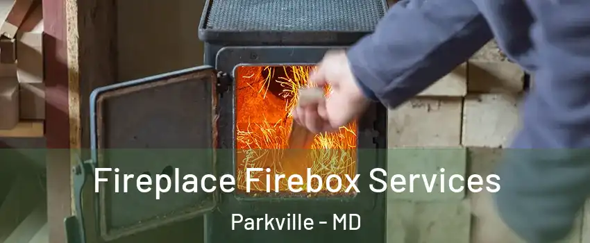  Fireplace Firebox Services Parkville - MD
