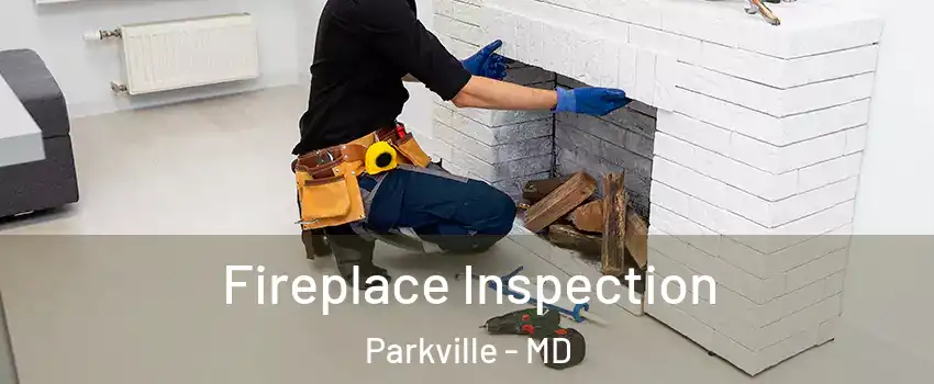  Fireplace Inspection Parkville - MD