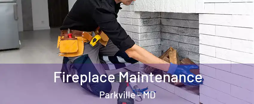  Fireplace Maintenance Parkville - MD