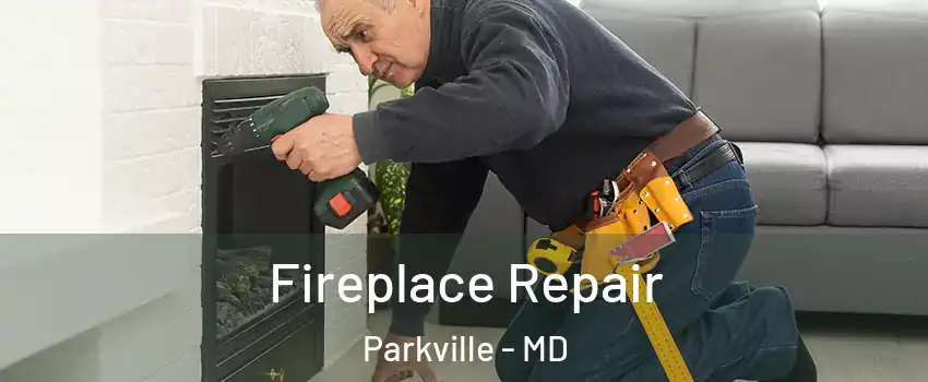  Fireplace Repair Parkville - MD