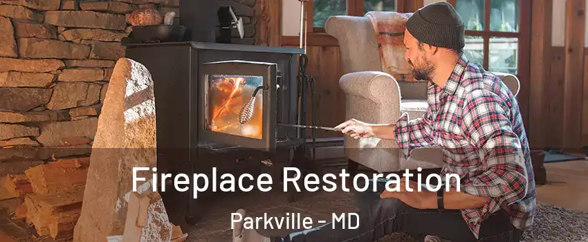  Fireplace Restoration Parkville - MD