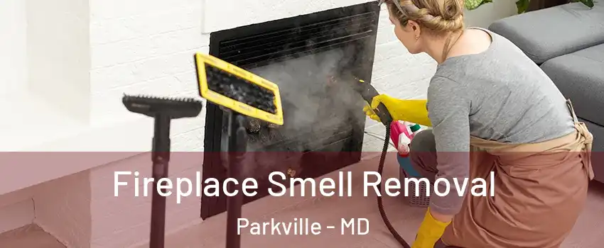  Fireplace Smell Removal Parkville - MD