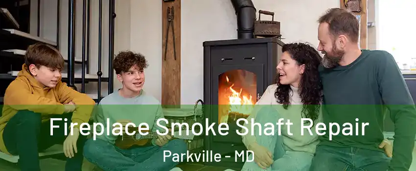  Fireplace Smoke Shaft Repair Parkville - MD