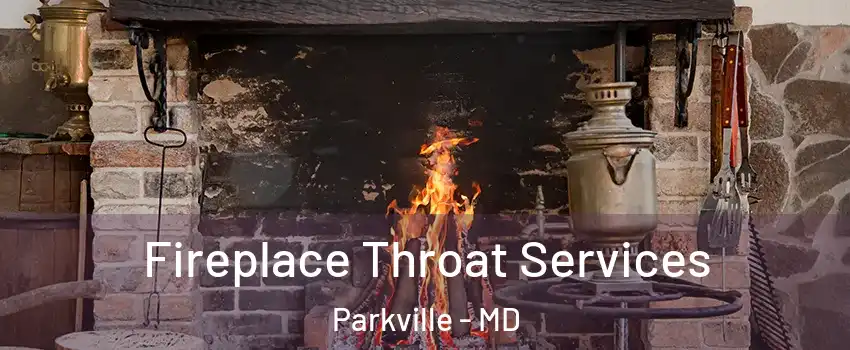  Fireplace Throat Services Parkville - MD