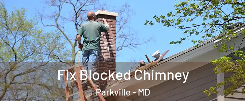 Fix Blocked Chimney Parkville - MD