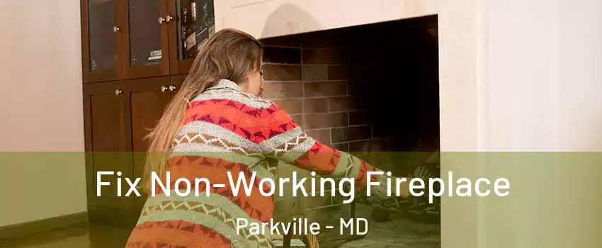  Fix Non-Working Fireplace Parkville - MD