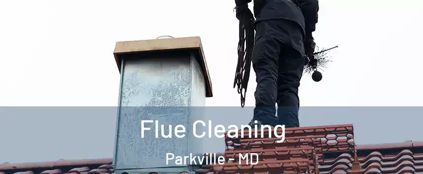  Flue Cleaning Parkville - MD