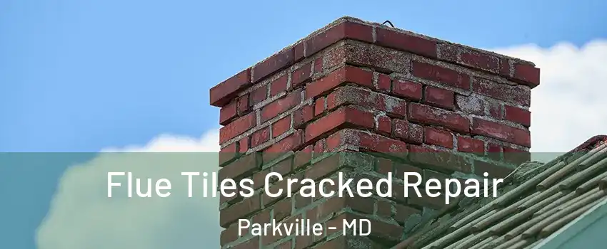  Flue Tiles Cracked Repair Parkville - MD
