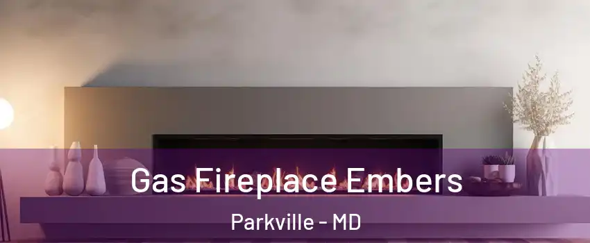  Gas Fireplace Embers Parkville - MD