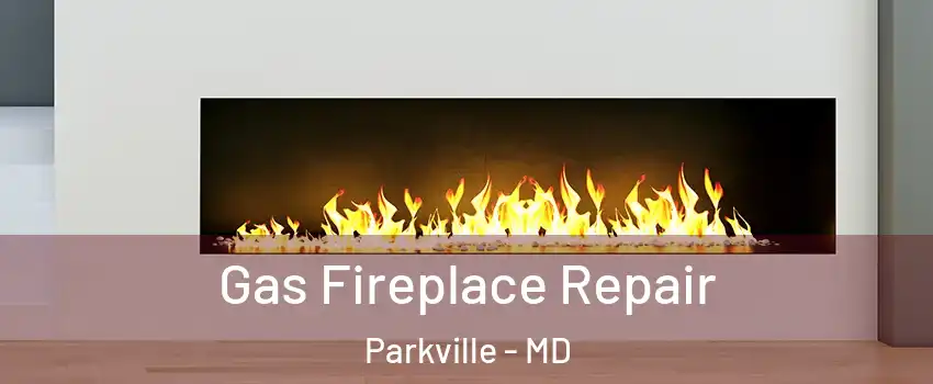  Gas Fireplace Repair Parkville - MD
