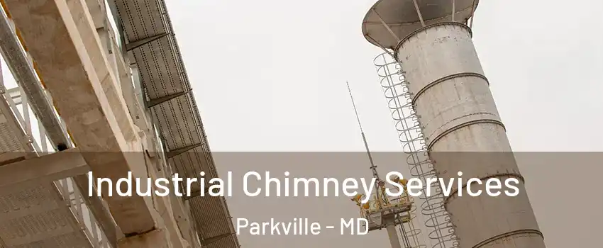  Industrial Chimney Services Parkville - MD