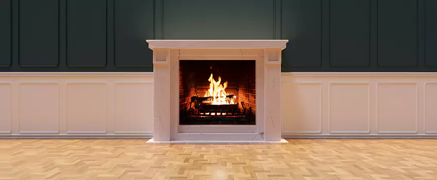 Napoleon Electric Fireplaces Inspection Service in Parkville, Maryland