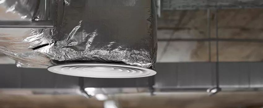 Signs of Dust Accumulation in Vents in Parkville, MD