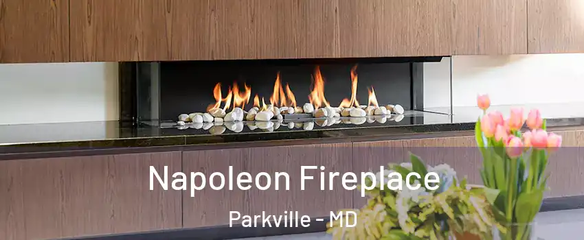  Napoleon Fireplace Parkville - MD
