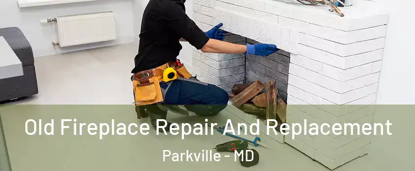  Old Fireplace Repair And Replacement Parkville - MD