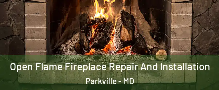  Open Flame Fireplace Repair And Installation Parkville - MD