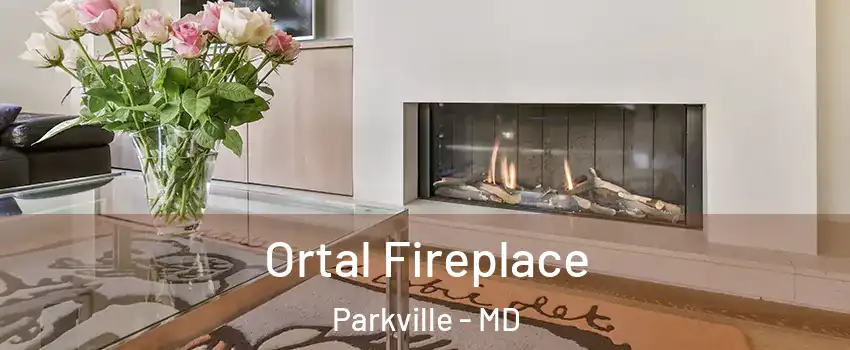 Ortal Fireplace Parkville - MD