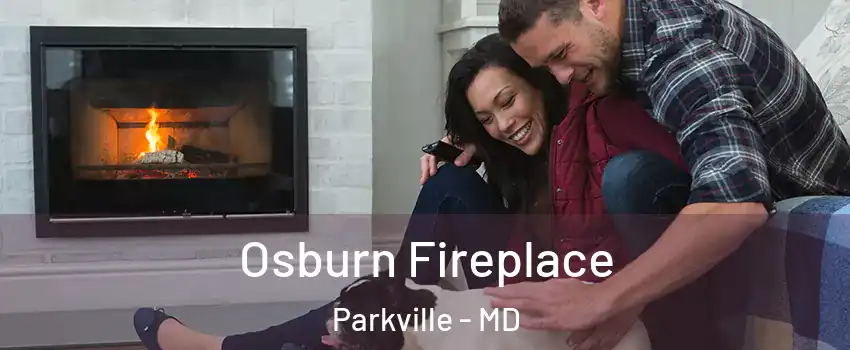  Osburn Fireplace Parkville - MD