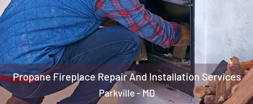  Propane Fireplace Repair And Installation Services Parkville - MD
