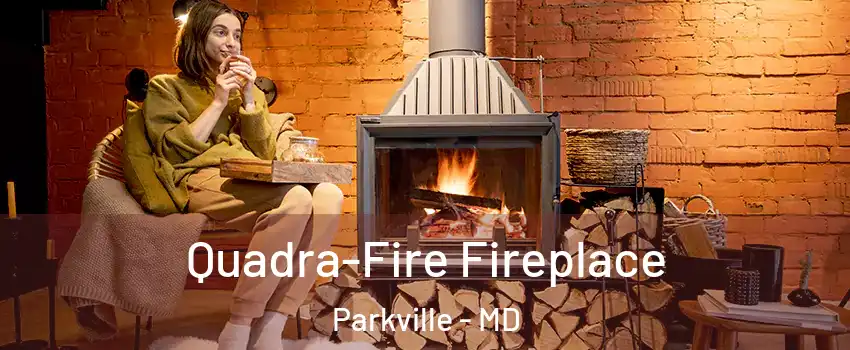  Quadra-Fire Fireplace Parkville - MD